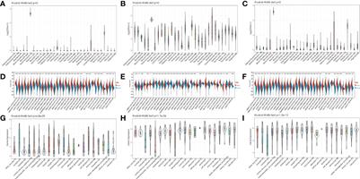 A pan-cancer landscape of IGF2BPs and their association with prognosis, stemness and tumor immune microenvironment